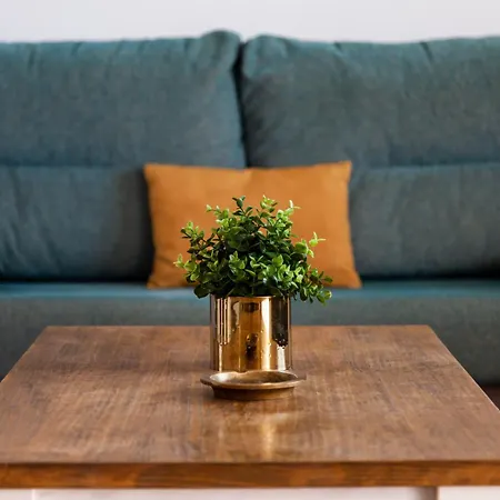 Casa rural Olivares Conil De La Frontera